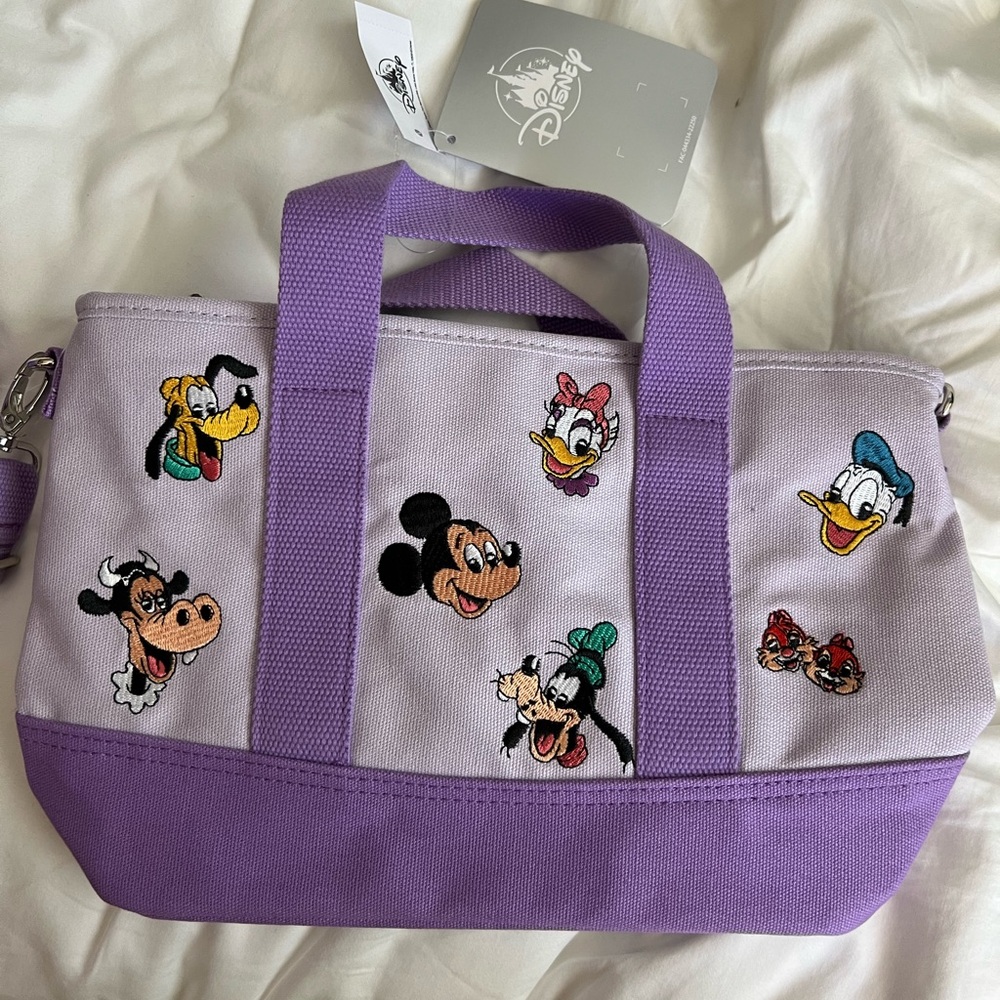 Disney parks bag